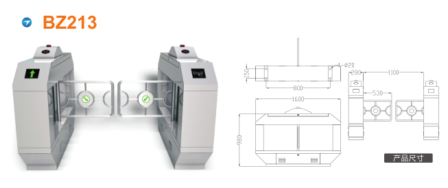 泰州摆闸BZ213
