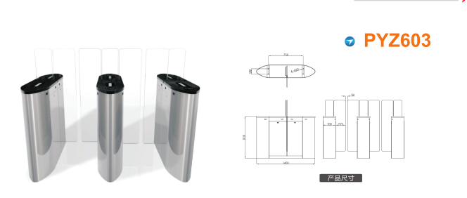 泰州平移闸PYZ603